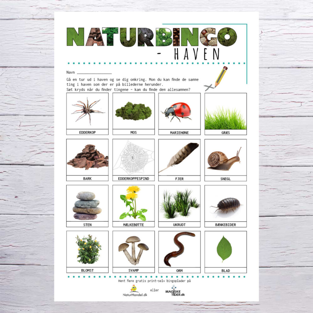 Gratis Naturbingo Plader I Forskellig Temaer Magiske Tider