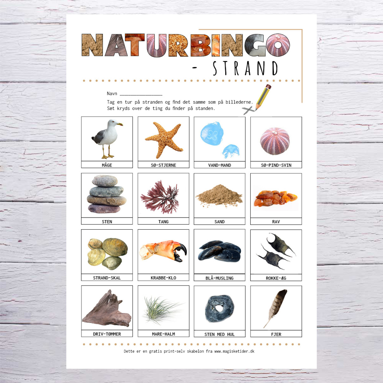 Get Strand plader Desktop Wallpaper Free Strand Plader