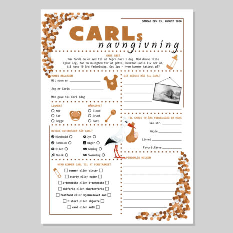 Navngivningsquiz i jordfarver til dreng