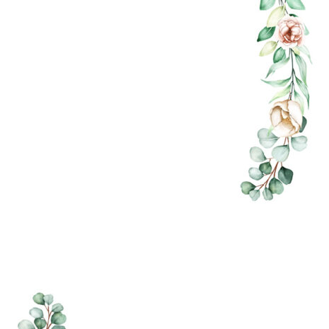 konvolut_eukalyptus konvolut_eukalyptus
